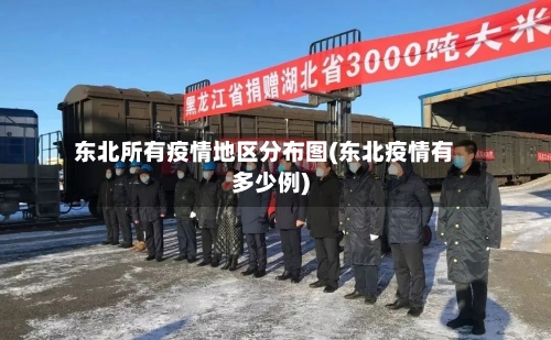 东北所有疫情地区分布图(东北疫情有多少例)