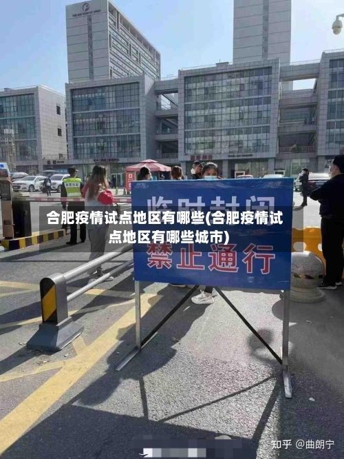 合肥疫情试点地区有哪些(合肥疫情试点地区有哪些城市)-第3张图片