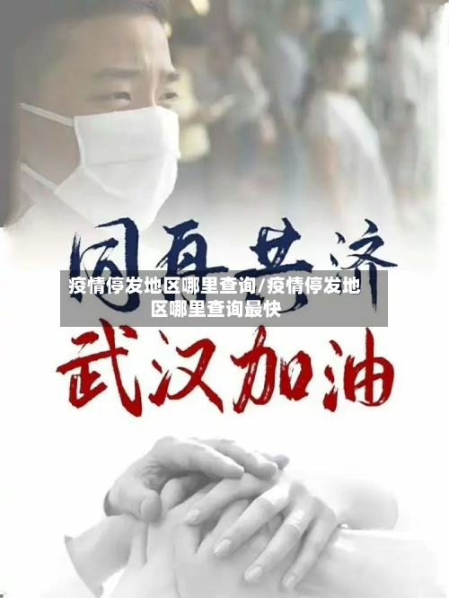 疫情停发地区哪里查询/疫情停发地区哪里查询最快-第3张图片