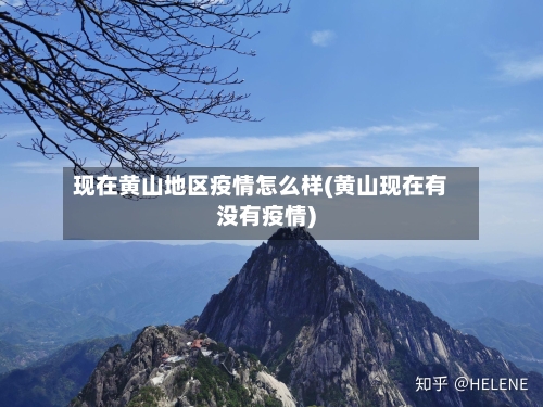 现在黄山地区疫情怎么样(黄山现在有没有疫情)-第2张图片