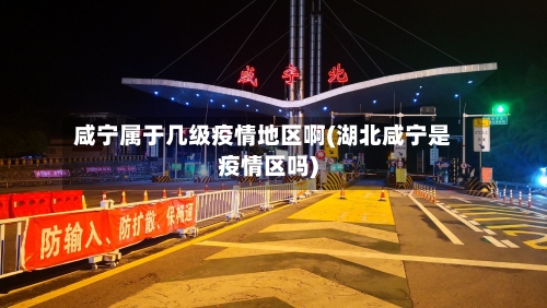 咸宁属于几级疫情地区啊(湖北咸宁是疫情区吗)-第2张图片