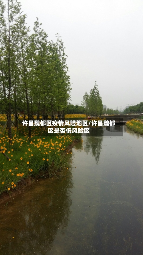 许昌魏都区疫情风险地区/许昌魏都区是否低风险区