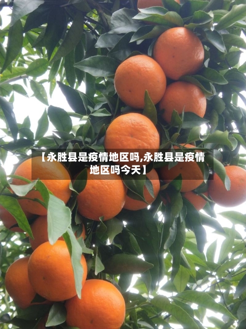 【永胜县是疫情地区吗,永胜县是疫情地区吗今天】-第2张图片
