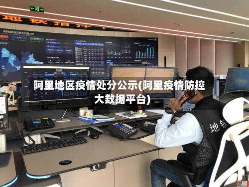 阿里地区疫情处分公示(阿里疫情防控大数据平台)