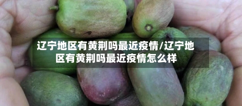 辽宁地区有黄荆吗最近疫情/辽宁地区有黄荆吗最近疫情怎么样-第2张图片