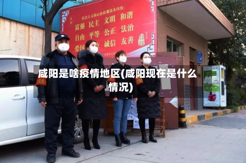 咸阳是啥疫情地区(咸阳现在是什么情况)