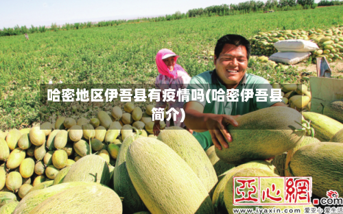 哈密地区伊吾县有疫情吗(哈密伊吾县简介)