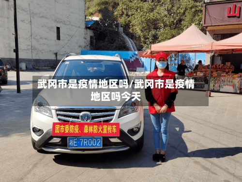 武冈市是疫情地区吗/武冈市是疫情地区吗今天-第2张图片