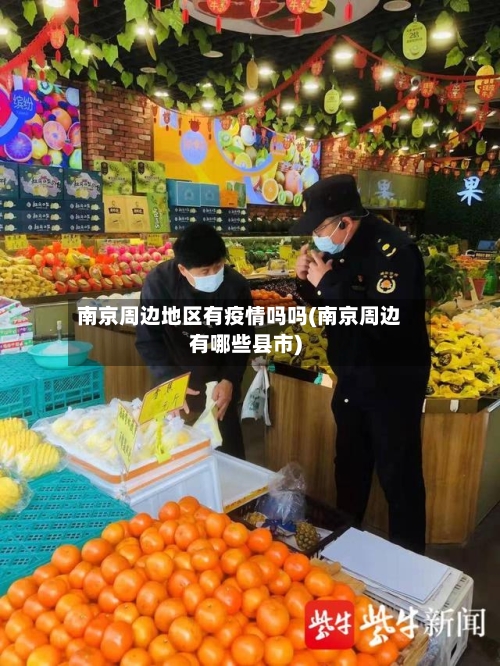 南京周边地区有疫情吗吗(南京周边有哪些县市)-第2张图片