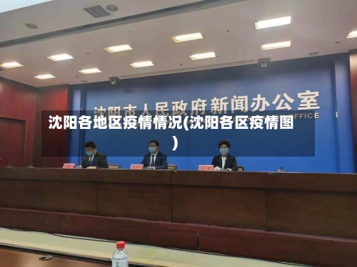 沈阳各地区疫情情况(沈阳各区疫情图)-第3张图片