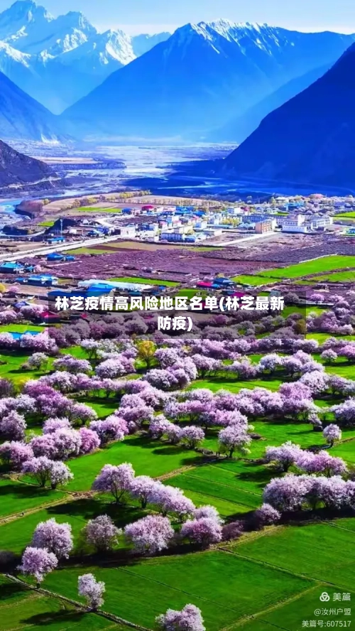 林芝疫情高风险地区名单(林芝最新防疫)-第2张图片
