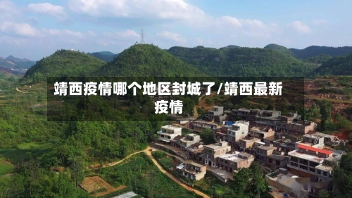 靖西疫情哪个地区封城了/靖西最新疫情-第3张图片
