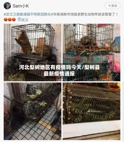 河北梨树地区有疫情吗今天/梨树县最新疫情通报