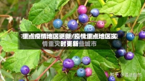 重点疫情地区更新/疫情重点地区实时更新-第2张图片