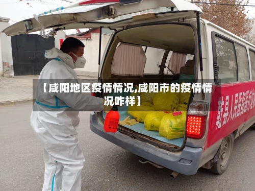 【咸阳地区疫情情况,咸阳市的疫情情况咋样】