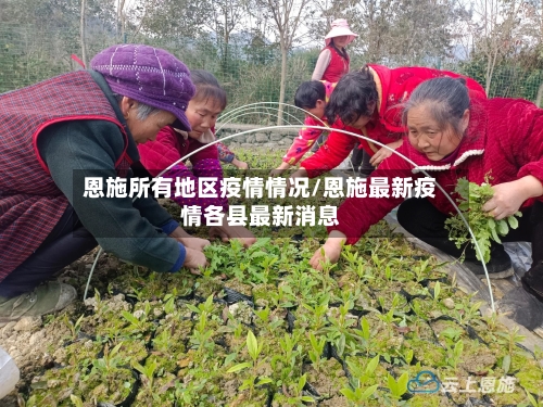 恩施所有地区疫情情况/恩施最新疫情各县最新消息-第2张图片