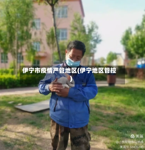 伊宁市疫情严管地区(伊宁地区管控)-第2张图片