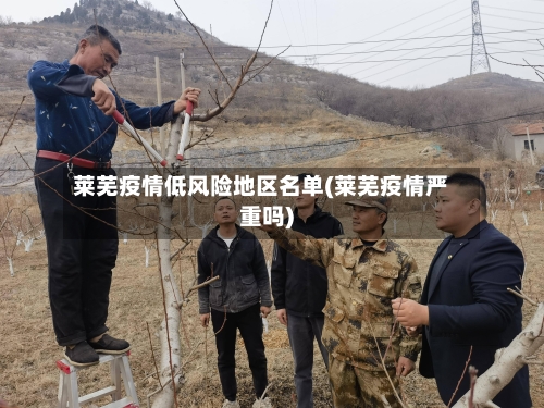 莱芜疫情低风险地区名单(莱芜疫情严重吗)